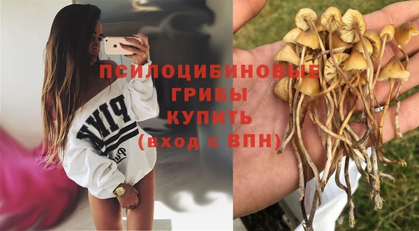 героин Алзамай