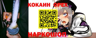 крисы Славянск-на-Кубани