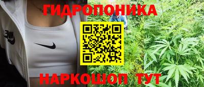 крисы Славянск-на-Кубани