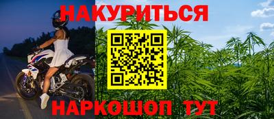 крисы Славянск-на-Кубани