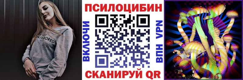 Псилоцибиновые грибы Cubensis  Нижний Новгород 