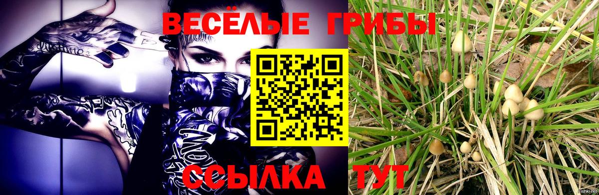 купить   Псилоцибиновые грибы Cubensis  Вход с VPN  Нижний Новгород 