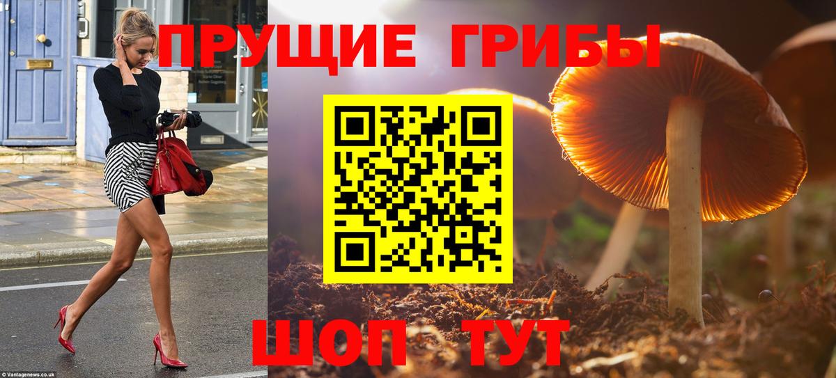 Псилоцибиновые грибы GOLDEN TEACHER Нижний Новгород